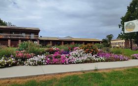 Hills Of Gold Motel At Nundle